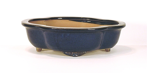 10 Inch Dark Blue Lotus Bonsai Pot 