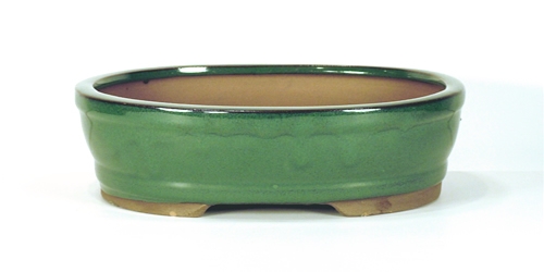 10 Inch Green Oval Bonsai Pot 