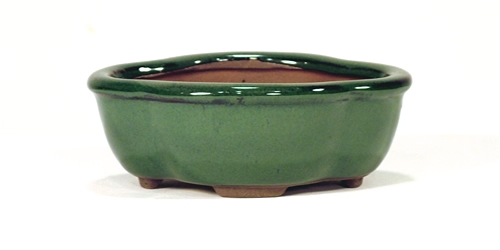 5 Inch Green Lotus Bonsai Pot 