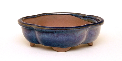 6 Inch Blue Lotus Bonsai Pot 