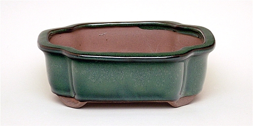 6 Inch Green Lotus Bonsai Pot 