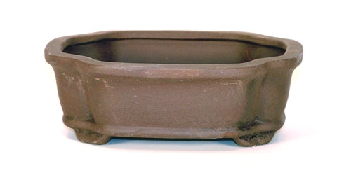 6 Inch Unglazed Lotus Bonsai Pot 