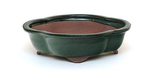 8 Inch Blue Lotus Bonsai Pot 