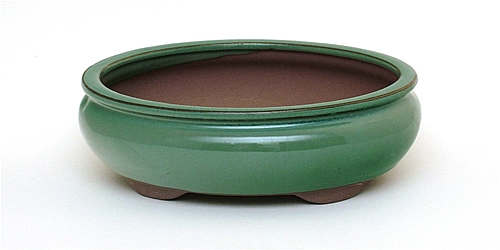 8 Inch Green Oval Bonsai Pot 