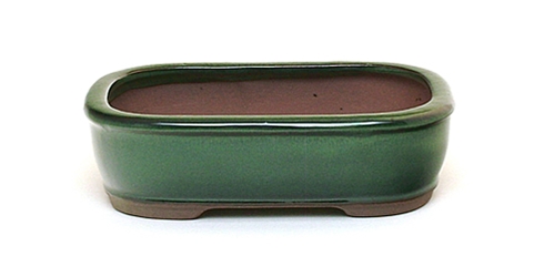 8 Inch Green Rectangle Bonsai Pot 