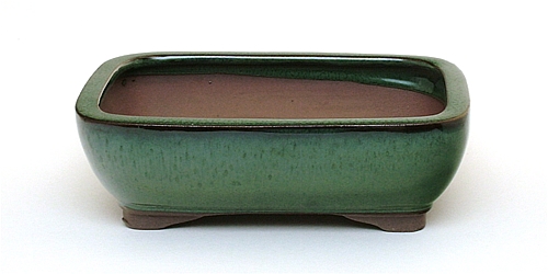 8 Inch Green Rectangle Bonsai Pot 