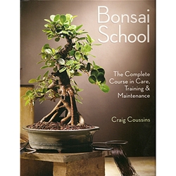 Bonsai School - Coussins 