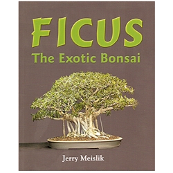 Ficus - The Exotic Bonsai - Meislik 