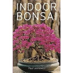 Indoor Bonsai - Lesniewicz 