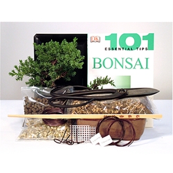 Juniper Deluxe Starter Kit - 4 Inch Bonsai Pot 