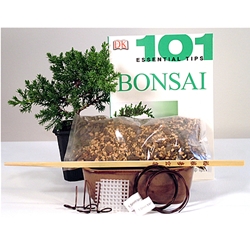 Juniper Starter Kit - 4 Inch Bonsai Pot 