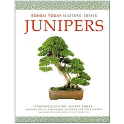 Junipers - Bonsai Today Masters Series 