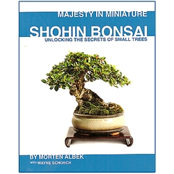 Shohin Bonsai - Albek w/Schoech 