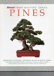 Pines - Bonsai Today Masters Series 