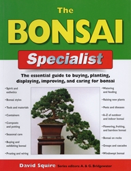 The Bonsai Specialist - Squire 